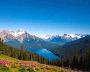 Natur und Parks im Jasper-Nationalpark, Kanada