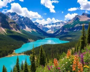 Naturerlebnisse im Banff-Nationalpark, Kanada