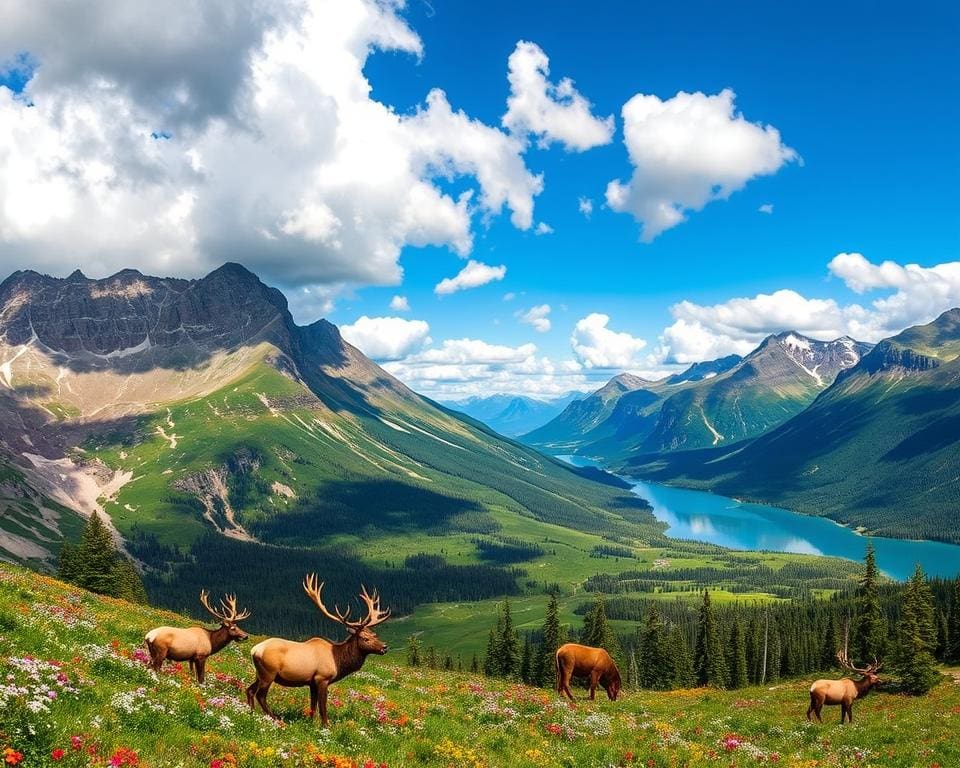 Naturerlebnisse im Glacier-Nationalpark, Montana