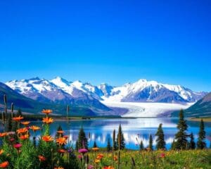 Naturwunder im Denali-Nationalpark, Alaska