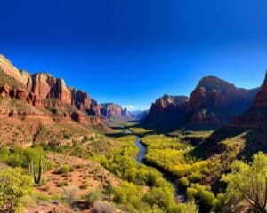 Natur und Parks im Zion-Nationalpark, Utah