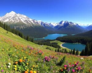 Naturwunder im Glacier-Nationalpark, Montana