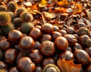 Esskastanien – wie gesund?