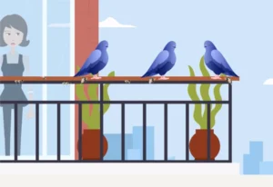 Suisse Birds Schweiz Vogelabwehr