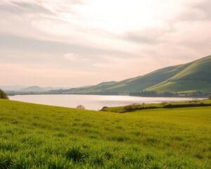 Wie entsteht ein harmonisches Farbkonzept?