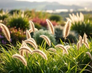 Wie pflegst du Ziergraeser richtig?