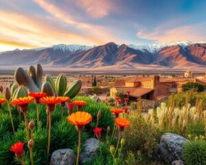 Was macht Chile zu einem faszinierenden Fernreiseziel?