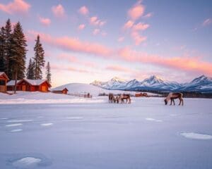 Warum ist Lappland so besonders?