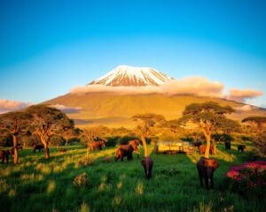 Was macht der Kilimandscharo faszinierend?